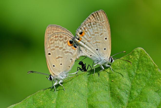 nature photography contest