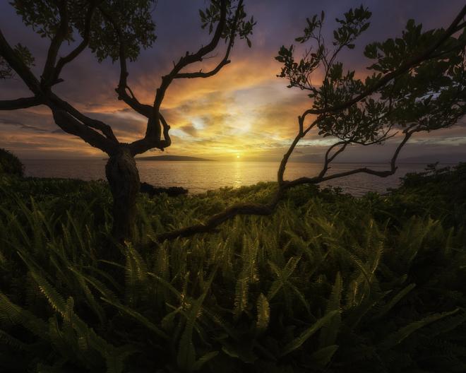 award winning landscape photography award winning landscape photography