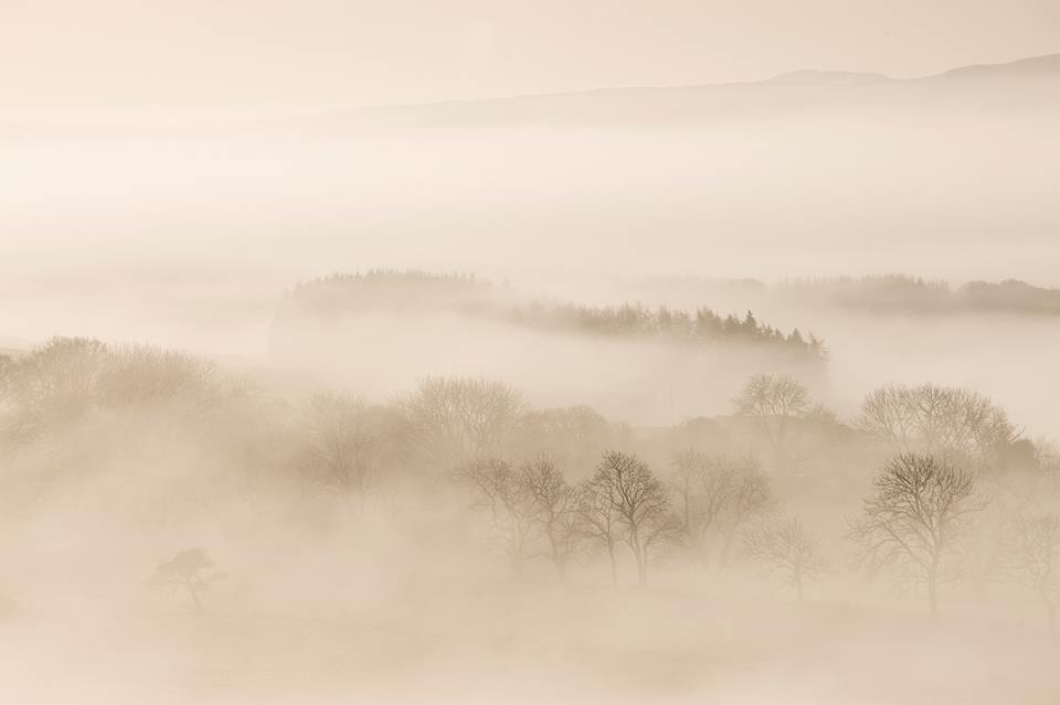 best nature photography festival