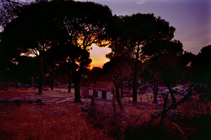 photography ara güler