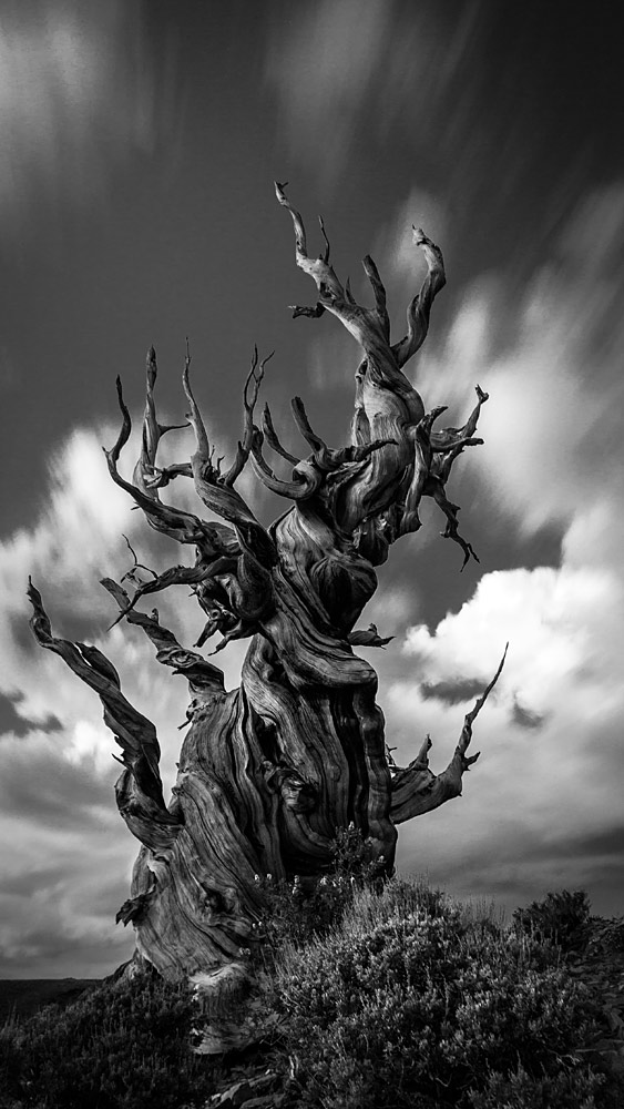 award winning landscape photography