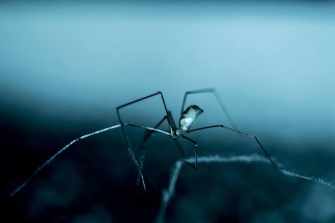 nikon photo contest