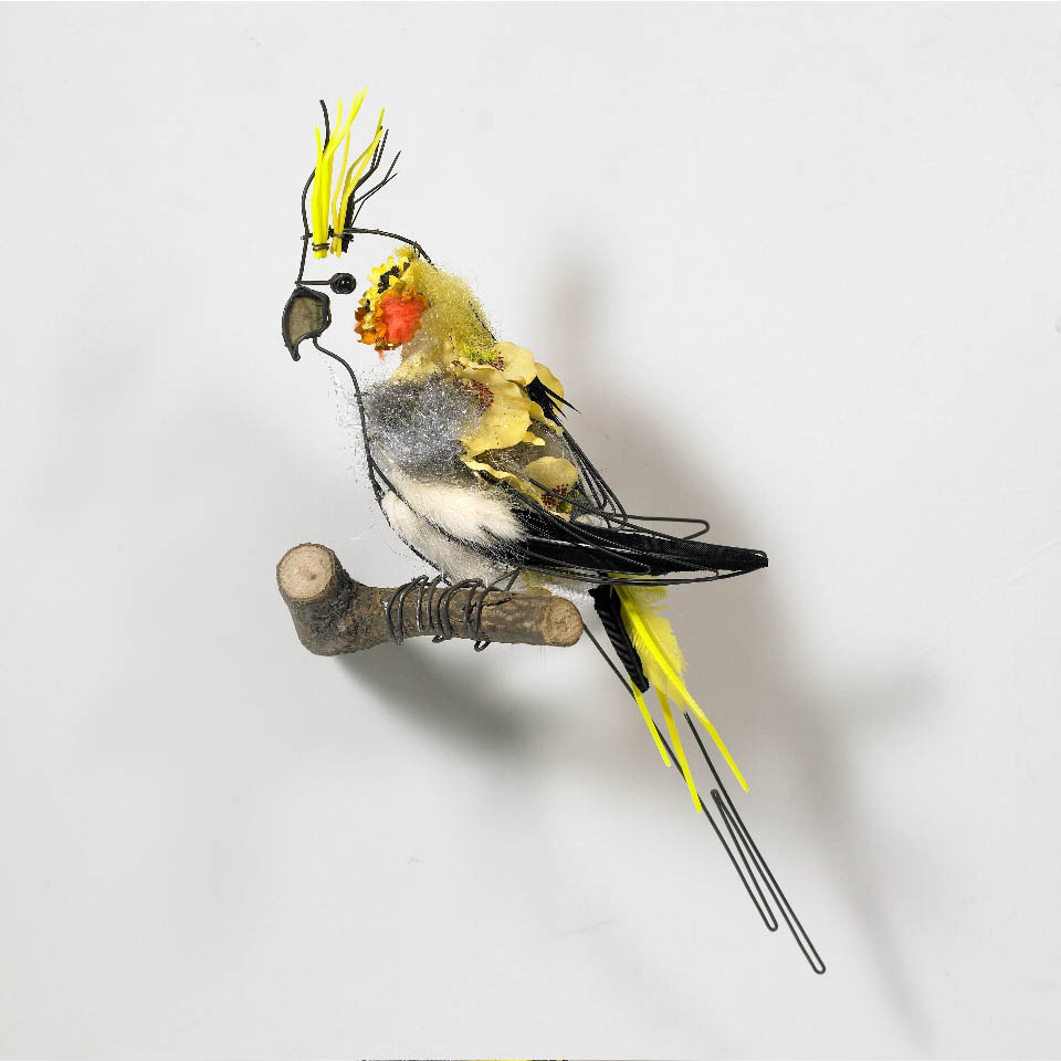 cockatiel sculpture cathy miles