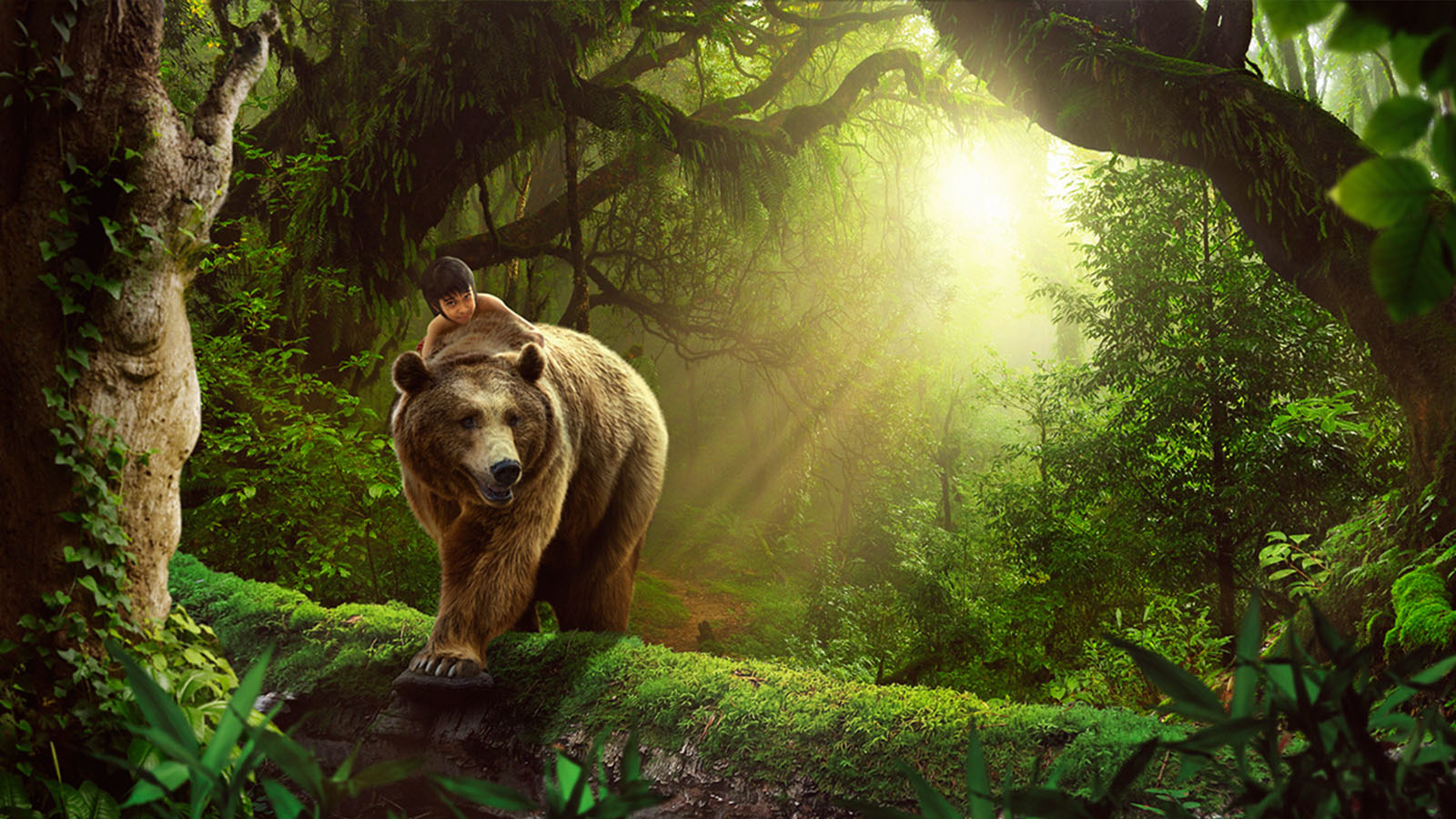 creative live photo week