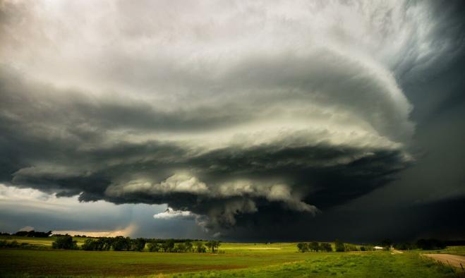 nikon photo contest award winning