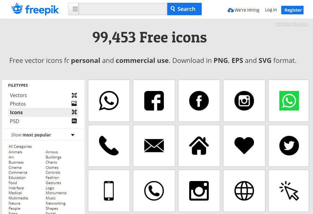 icon website